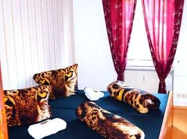 Komfortables Apartment nahe Rhein-Party