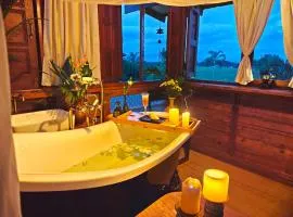 Fieldlight & Pool Villa 云上稻影Private Pool &Rice View