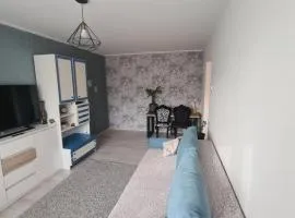 Blue apartment