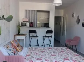 studio avec terrase