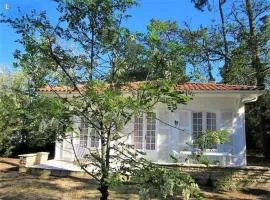 RONCE, mer à 1mn, en XXL !