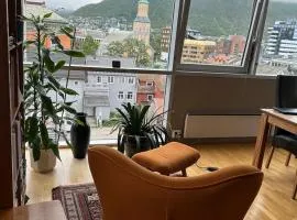 Large apartment in the middle of the city