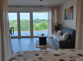 Bellevue relax Apartment，位于Žetale的酒店