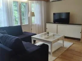 Kodikas talo lammen rannalla