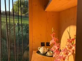 Zenbox Satori - the place to ease your mind