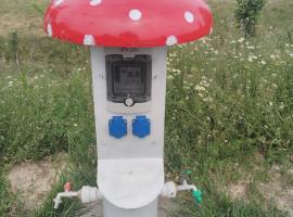 Căsuțele Molidului Campare pentru Rulote&Cort, camping em Gura Humorului