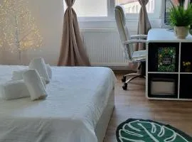 Piatra Craiului Cozy Flat