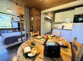 Résidence Olan - STUDIO 6 PERSONNES PIED DES PISTES MAE-9403