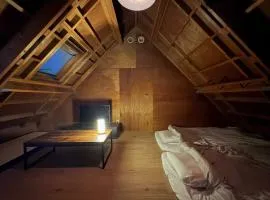 Tokyo Family & Pet Friendly Villa