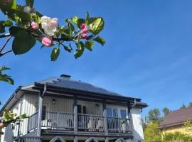 Get close to the Nature and Reset Your Mind