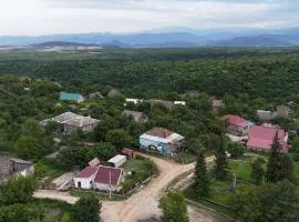 Orbis Bude