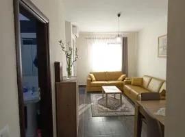 Cozy apartment