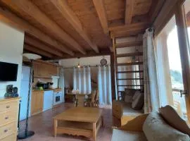 Superbe T2 à Pra Loup 1500, 6 Couchages - FR-1-165A-194