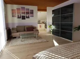 Furnished Apartment with kitchen and bathroom near Erlangen