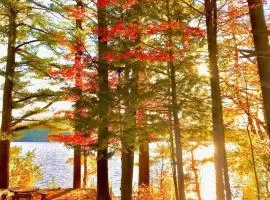 Wagon Wheel Cottage - Relax, Swim, Paddle, Explore