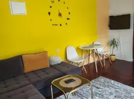 Sunshine apartment near the zoo, free parking
