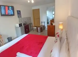 Neo & Ruks Guest House Boston Belleville 7