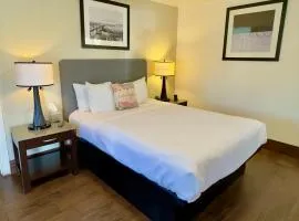Budget Motel