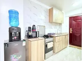 Stadeview studio Anisa, Nairobi West, off langata and Mombasa road