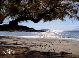 Nefeli Family House1' Modern Villa with Swimming Pool & Jacuzzi