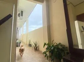 Habitaciones Guadalupe