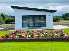 Kildare Holiday Apartments No 2, alojamiento con cocina en Kildare