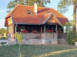 Cozy wooden house Robinia