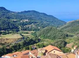 Lumira Vista – Panorama