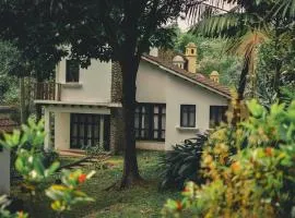 Villa with pool in nature