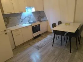 Apartment in Ferizaj