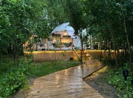 Coco Glamping & Retreat, glamping site in Şanţu Floreşti