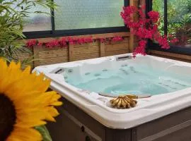 Résidence belle créole I Le Balisier I Maison duplex avec jacuzzi à 15min de Disneyland Paris