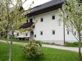Apartment Zatrnik