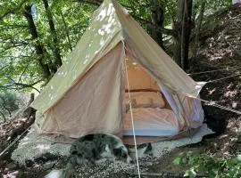Tipi Nature a l'Ombre des Tilleuls à Vialas en Cévennes
