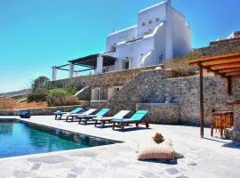 Villa in Mykonos near Agios Sostis Beach