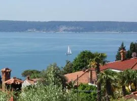 Apartments Ogrin