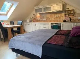 Studio z kominkiem Leśna sauna i balia Cieszyn Wisła Ustron w zasięgu ręki