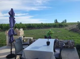 maison au cœur des vignes