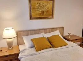 Pipera Studio Apartment