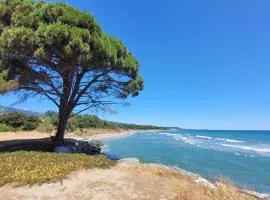 Location de vacances