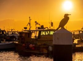 Poole Quay Apartment - Perfect Location - Beatiful Roof Terrace - Free Parking: Poole şehrinde bir otel