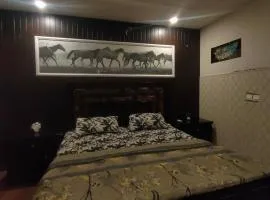 One Bedroom Furnished Apartment