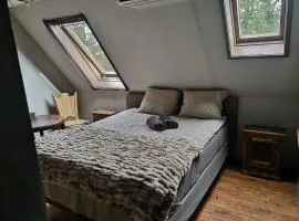 Noorse Viking kamer en suite