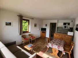 Résidence Les Balcons Des Curtious - Appartement 2 pièces coin montagne - 4 personnes MAE-2103