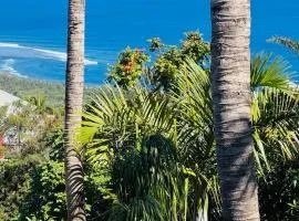 VILLA SAMAE - Vue Océan, Piscine, Jacuzzi & Charme Tropical à La Réunion