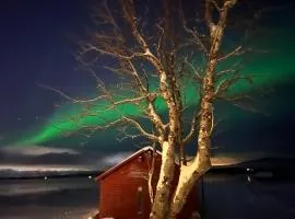 Charming place in Tromsø by the sea.