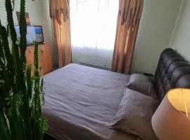 2-room apartment in the house with the SEPARATE ENTRANCE & FREE parking