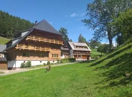 Unterhohnenhof