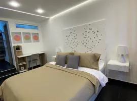 313Apartaestudio del cedro