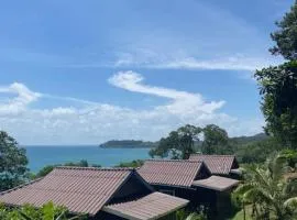 Lily's Blue View